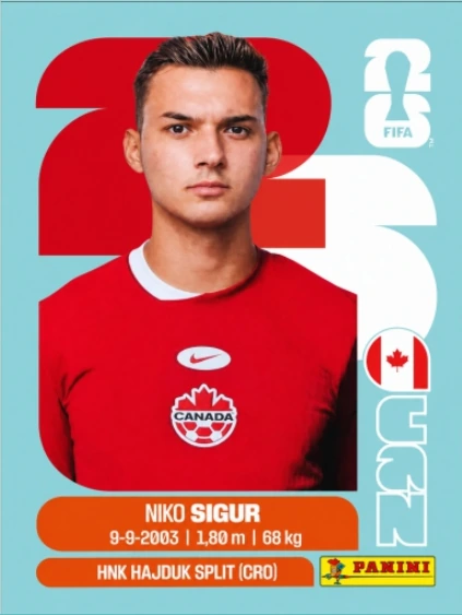Niko Sigur