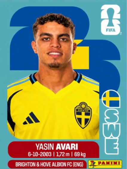 Yasin Ayari