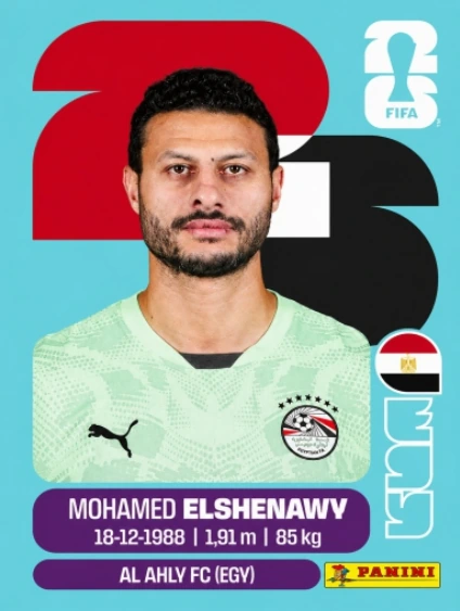 Mohamed Elshenawy