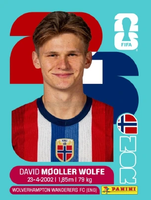 David Møller Wolfe