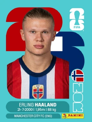 Erling Haaland